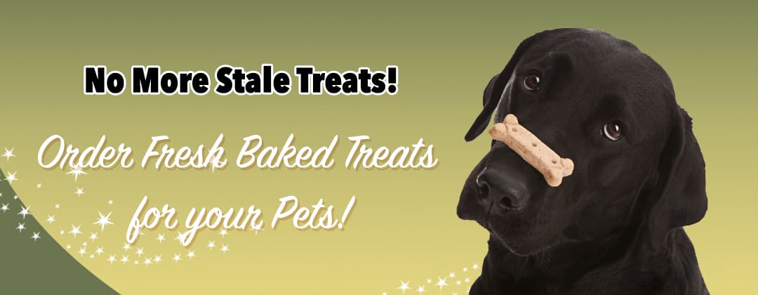 Fresh Pet Treats available at Paws and Claws Pet Bakery.